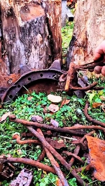 Находки с металлоискателем на лесопилке смотреть онлайн