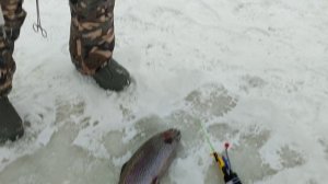 Основной водоём. На пасту.