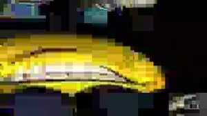 когда приколы заходят слишком далеко