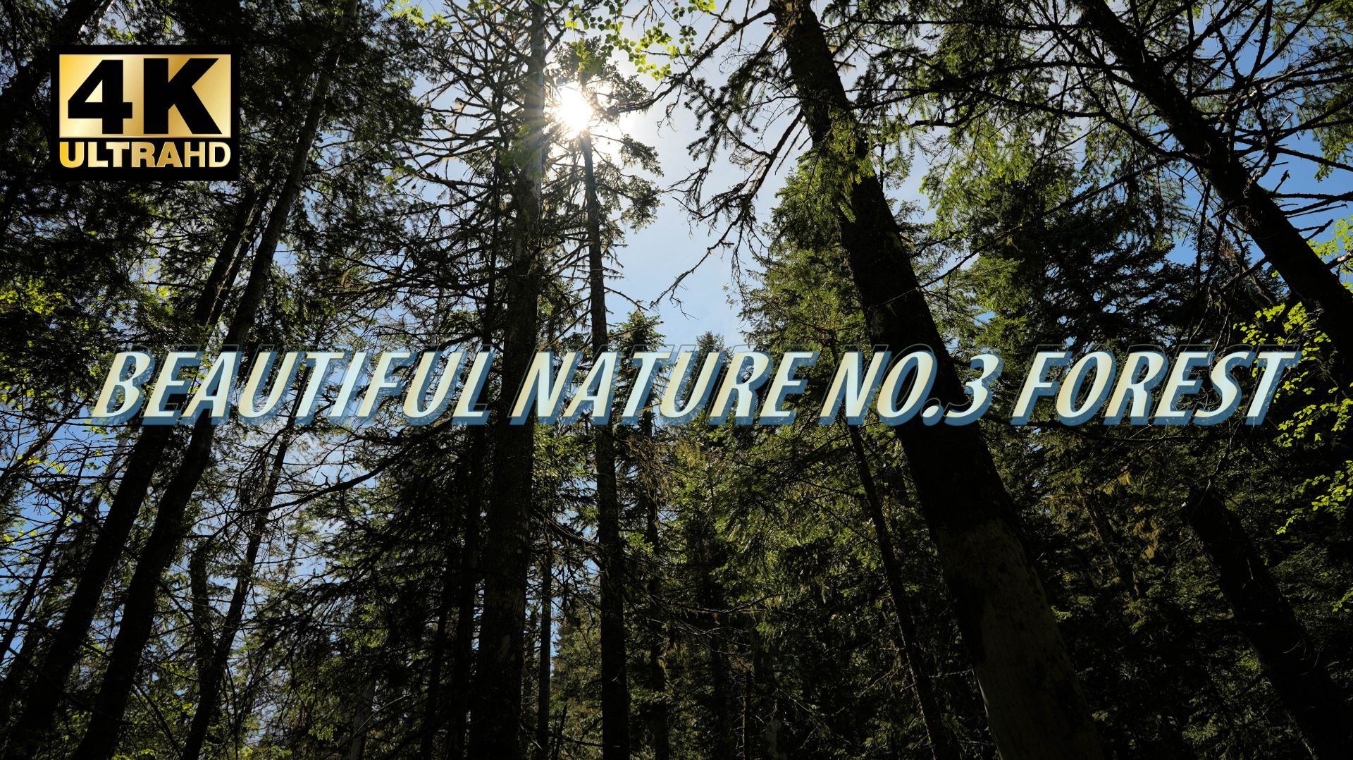 Природа в районе озера Амут.