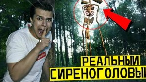 Сергей онис и сиренаголовый