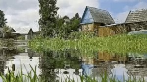 Поле. 4 глава.