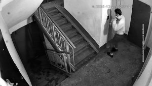 В ПОИСКАХ НЕ НОВОГОДНЕГО ПОДАРКА