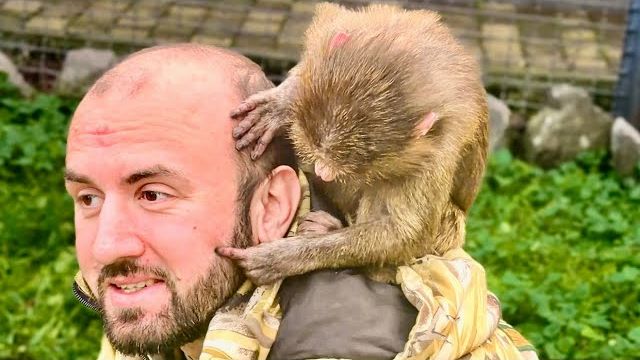 ЧТО СЛУЧИЛОСЬ С АНФИСОЙ? Она так стала УХАЖИВАТЬ за Денисом и даже СДЕЛАЛА ЕМУ МАССАЖ ГОЛОВЫ! смотреть онлайн