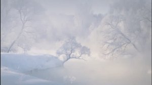 The Modern Jazz Quartet - Tears from the Children