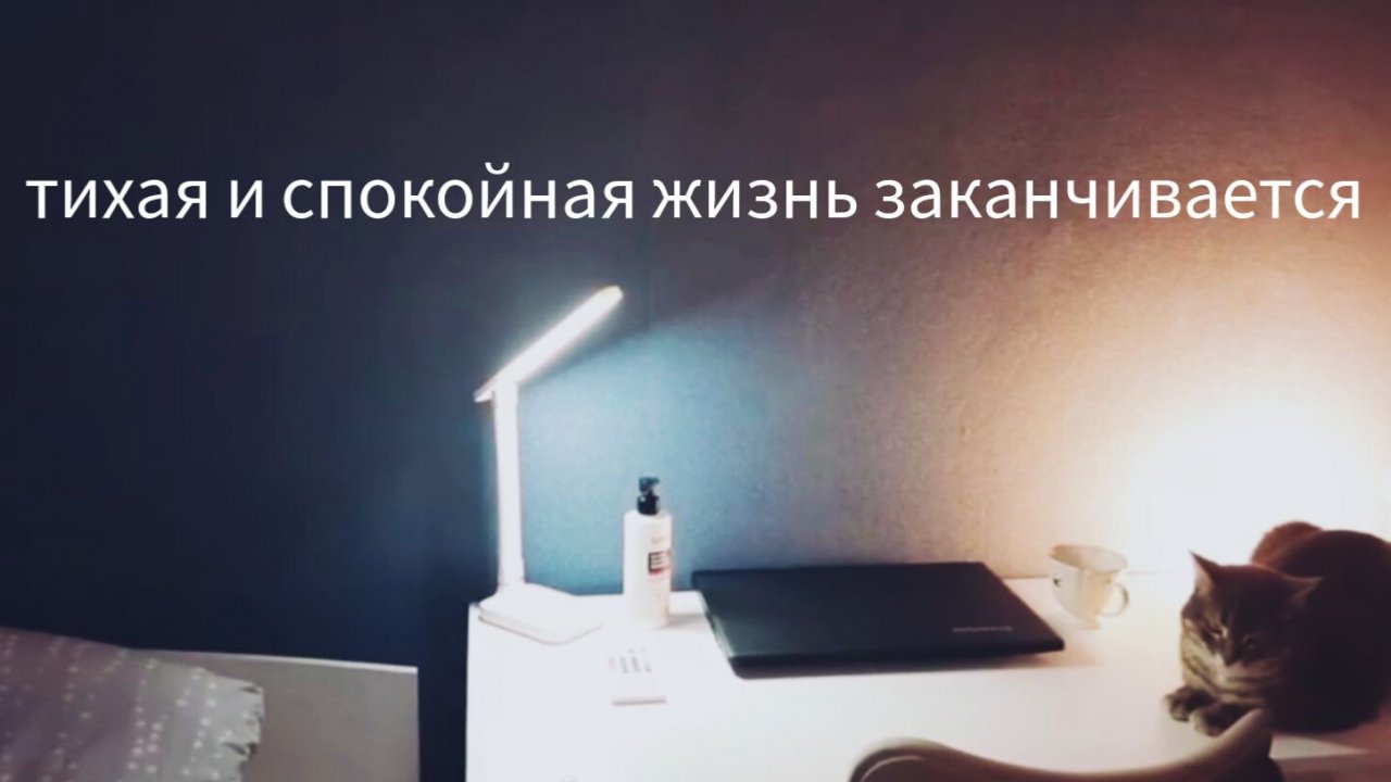 ПЕРЕДУМАЛА И ЗАКАЗАЛА ТОРШЕР ♡ алисы не будет смотреть онлайн