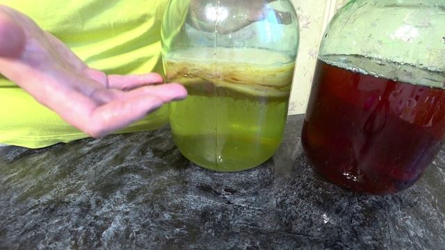 Чайный гриб опустился на дно. Что делать? смотреть онлайн