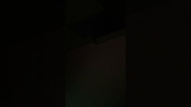 полинкачеполинка смотреть онлайн