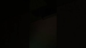 полинкачеполинка