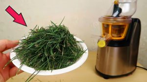 Сок из Сосновых иголок! Выдержит ли это Соковыжималка? Что если сломается? Alex Boyko