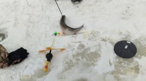 Основной водоём. На пасту.