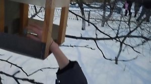 Кормушка 2026