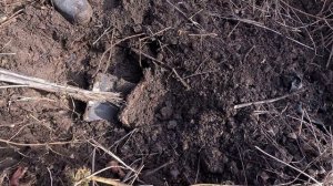 (ОТКРЫЛ СЕЗОН) КОП МЕТАЛЛА 08 01 2026