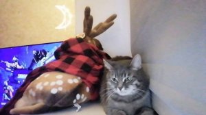 VID_20260108_162249.mp4