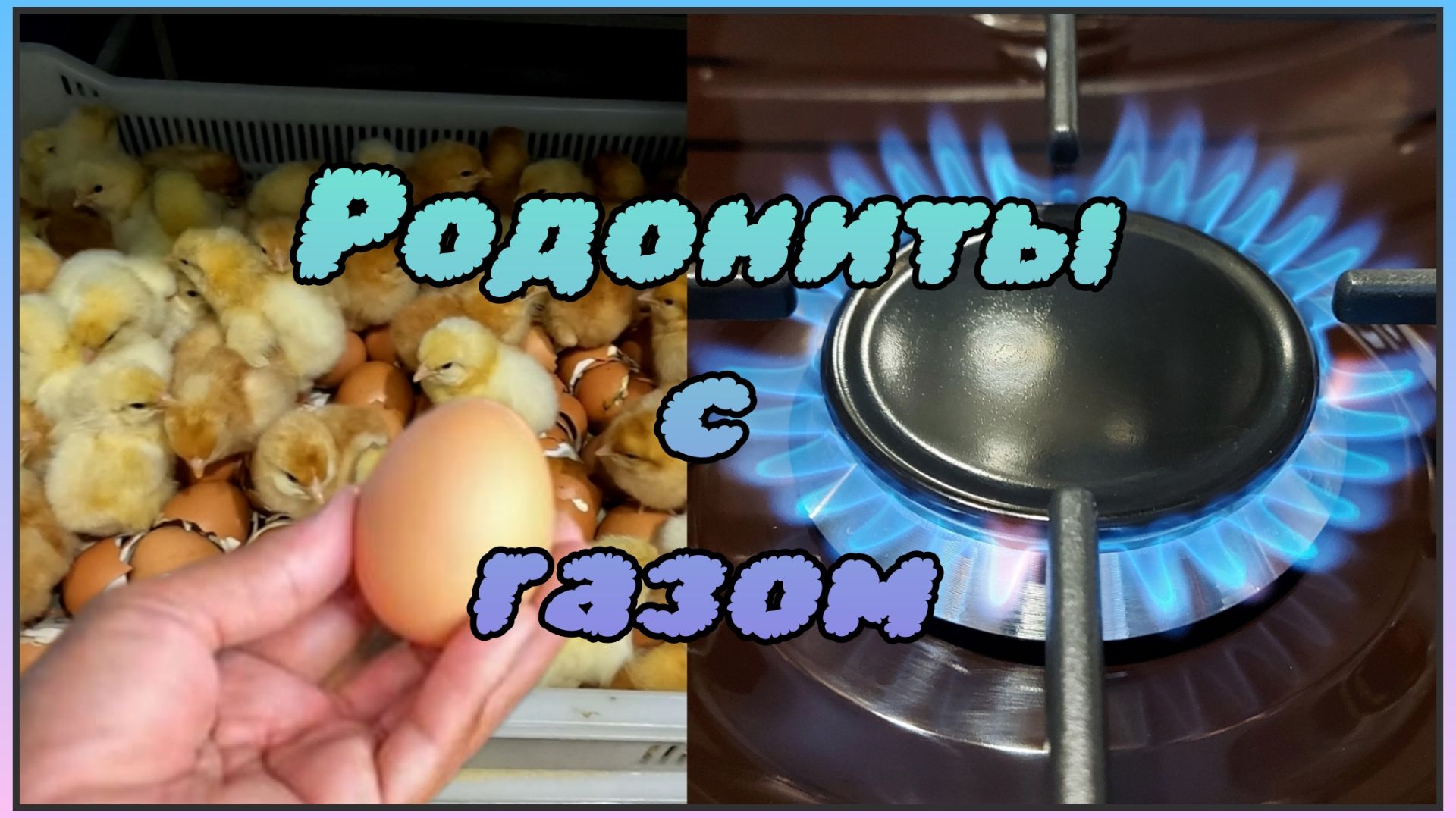 Подключили газ! Вывели несушек Родонит. Доделали отопление в доме в новом году. смотреть онлайн