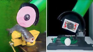 Чем можно разрезать рыбу? Залипательный эксперимент