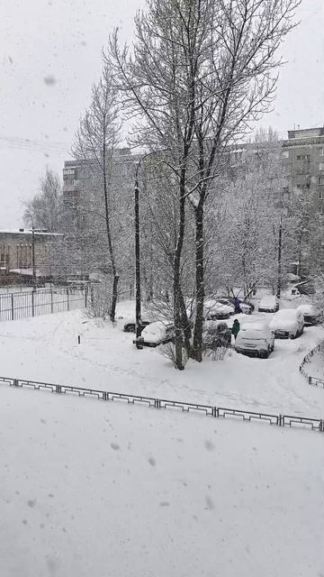 Огромная хлопья снега, чтобы загадывать желания на снежинки. Нижний Новгород. смотреть онлайн