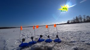 Оснащение Жерлицы на Судака и Берша. Чем отличаются от жерлиц на Щуку