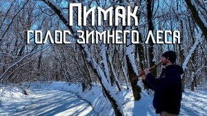 Флейта Пимак / Музыка Снежного Леса / Зимняя Сказка / NAF