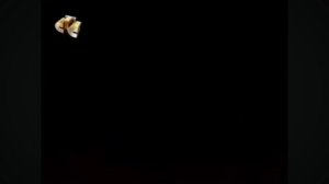 (нету суицида, права не мои)RAH:Smeshariki_poterya2009