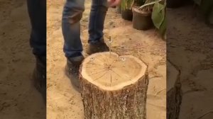 Только в деле станет понятно, кто лучше