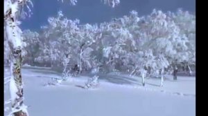 Бразды пушистые взрывая...