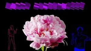 Олег Рок-н-ролл - Классный (2021)