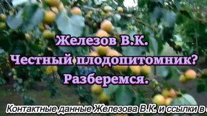 Железов В.К. Честный плодопитомник. Разберемся.