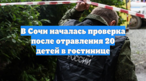 В Сочи началась проверка после отравления 20 детей в гостинице