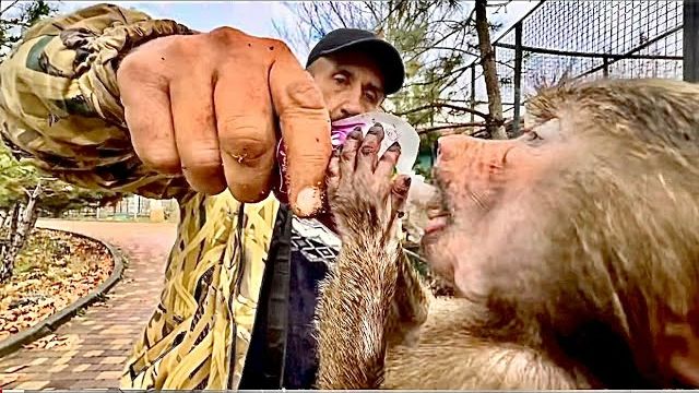 Над качеством любимой кашки у Анфисы тоже ПОЛНЫЙ КОНТРОЛЬ, она дала добро, можно всех кормить😄 смотреть онлайн