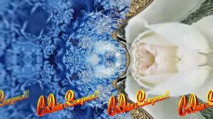 С Днём Рождения! Зимняя Сказка из Роз 3 от Киностудии Мудрого Кота Тимофея!!!