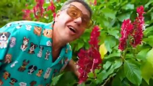 Лайк_Крошки_Настя_няня_для_диких_животных