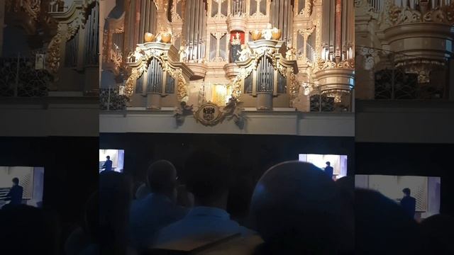 Орган в Калининграде смотреть онлайн