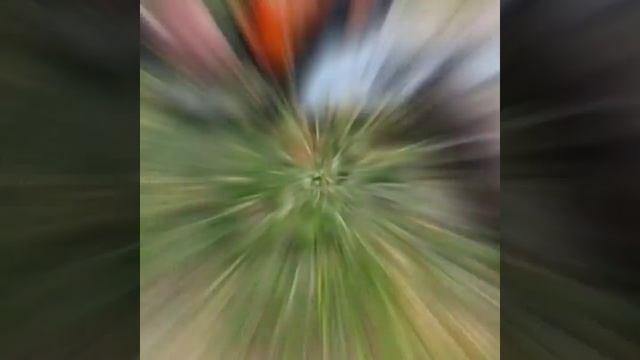 Варим уху на природе