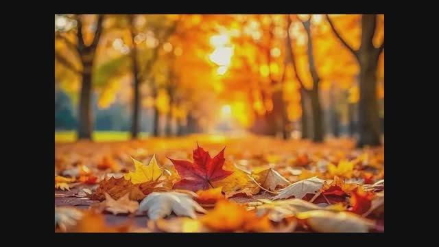 Пройдет осенняя пора... смотреть онлайн