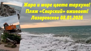 Жара! Пляж Свирский оживает! Море цвета тархуна! Лазаревское 08.01.2026..
