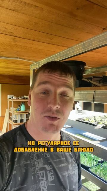 Не надо есть тазиками смотреть онлайн