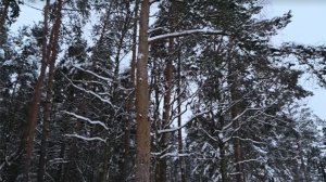 ЗИМНЯЯ ФИЛОСОФИЯ...эфир от 08.01.2026 г.