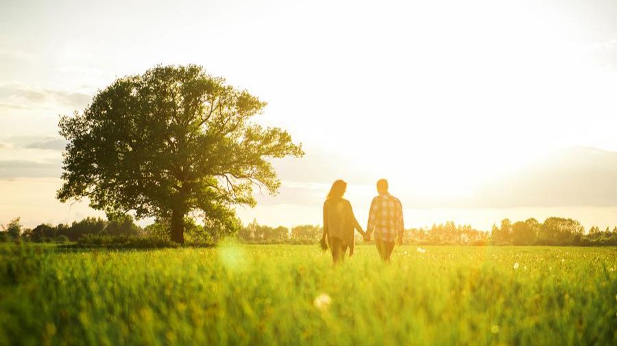 Пусть лето проходит смотреть онлайн
