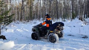 В СК заявили об отсутствии подтверждений выезда семьи Усольцевых за границу