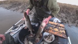 Рыбалка на КАСТИНГОВУЮ СЕТЬ |ОДИН ЗАБРОС и ДВА ТРОФЕЯ!