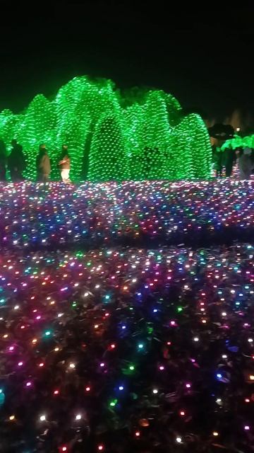 Новогодняя красота в парке Галицкого смотреть онлайн