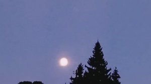 Отмечаем Рождество.