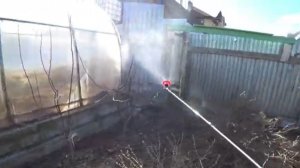 Слива всегда притягивает тлю. Чем, как и когда обработать