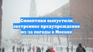 Синоптики выпустили экстренное предупреждение из-за погоды в Москве