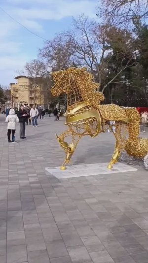 Анапа. Пляж. Анапка. Гуси, лебеди, купание зимой в Анапе 7 января 2026. репортаж Светланы Тихоновы