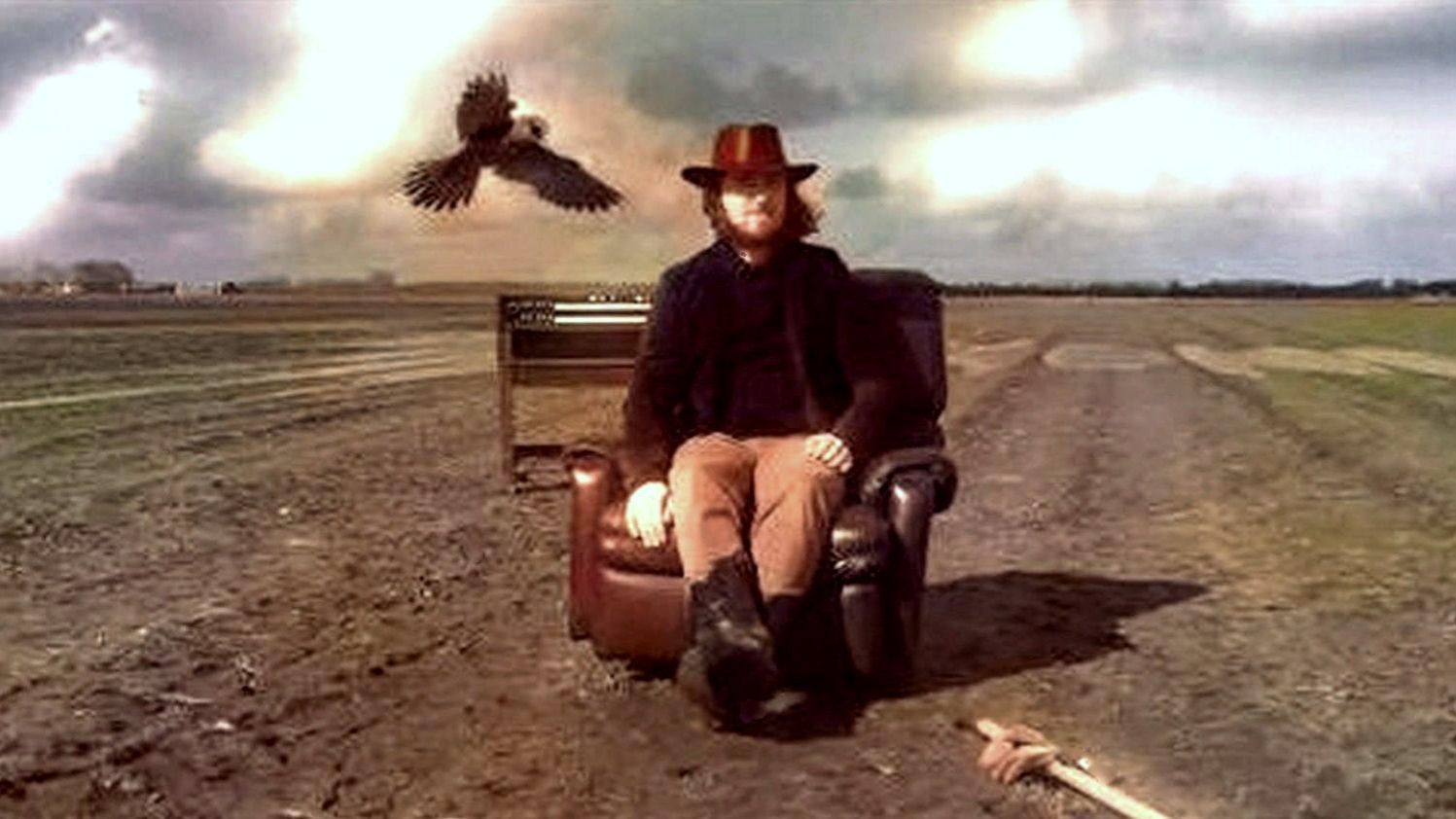 Birds - The Sidekicks!