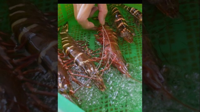 Сбор и приготовление гигантских тигровых креветок с чесночным соусом