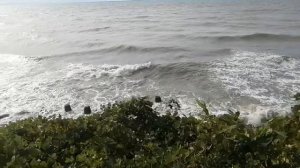 Море. Архивное видео