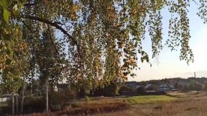 Осень в Неклюдово ( Темряшино)